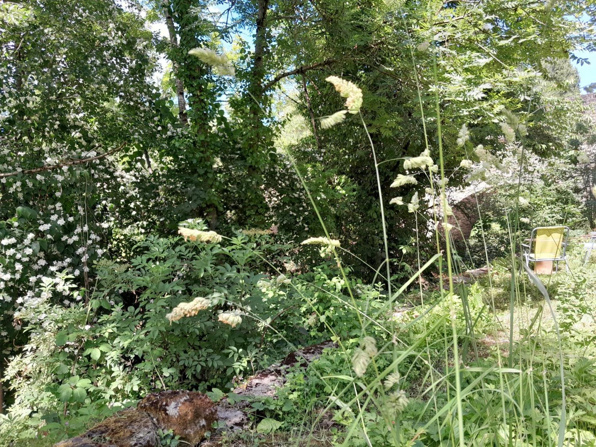 Appartement Privatif En Bord De Riviere Figeac Exterior foto